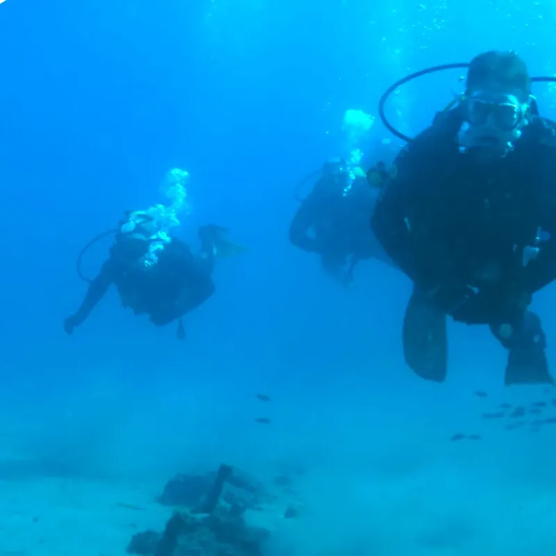 Deux plongeurs en combinaison explorent les fonds marins bleus et clairs