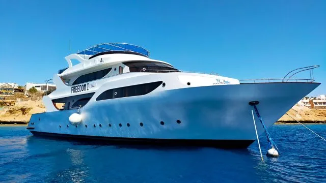 Grand bateau de croisière blanc et bleu amarré dans une eau claire