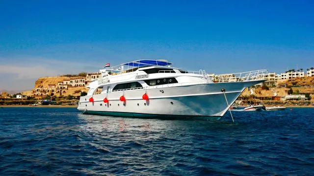 Grand bateau de plongée blanc et gris amarré sur une mer bleue