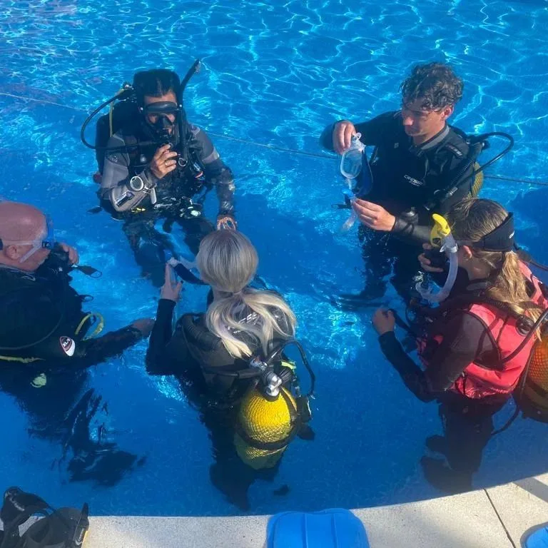 Groupe de plongeurs en formation dans une piscine, équipement complet