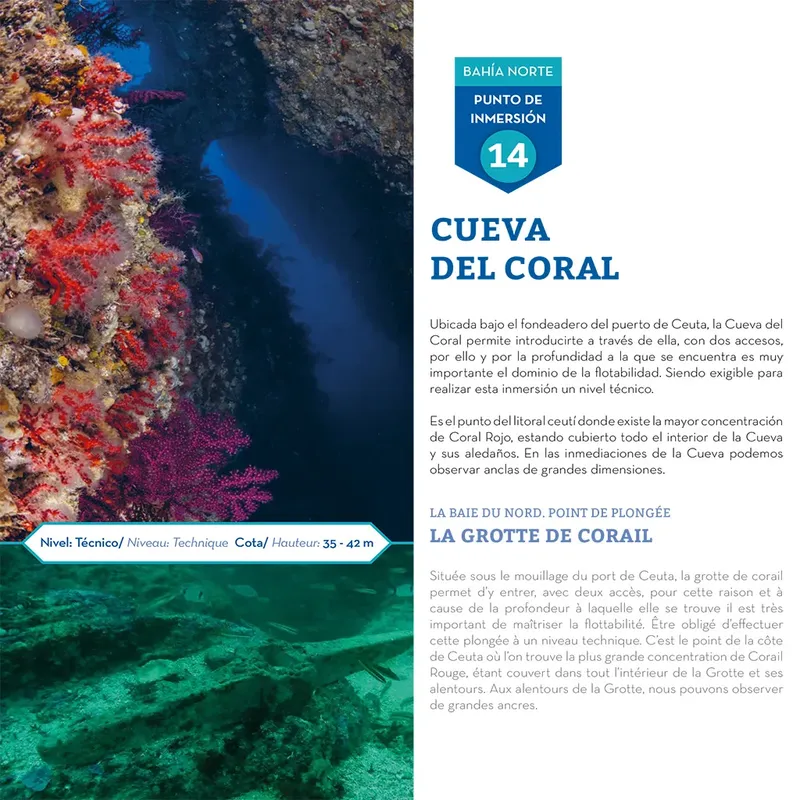 Poisson coloré nageant dans une grotte sous-marine avec coraux et lumière