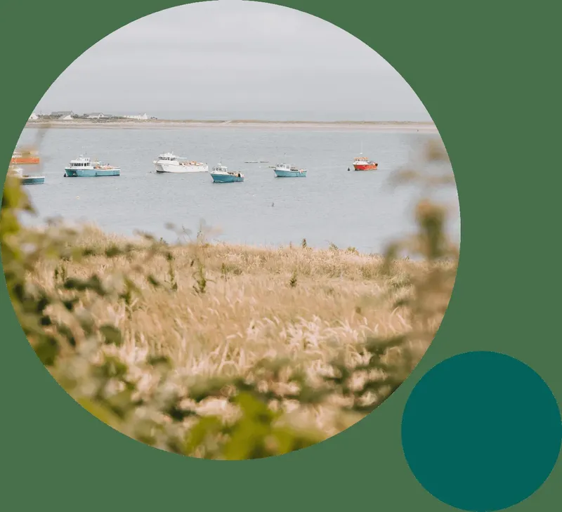 Plusieurs bateaux amarrés sur une eau calme, paysage côtier flou