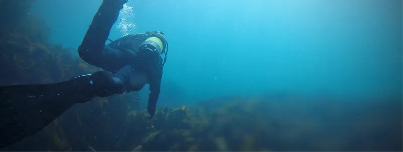 Plongeur en combinaison noire nageant dans une eau bleutée et trouble