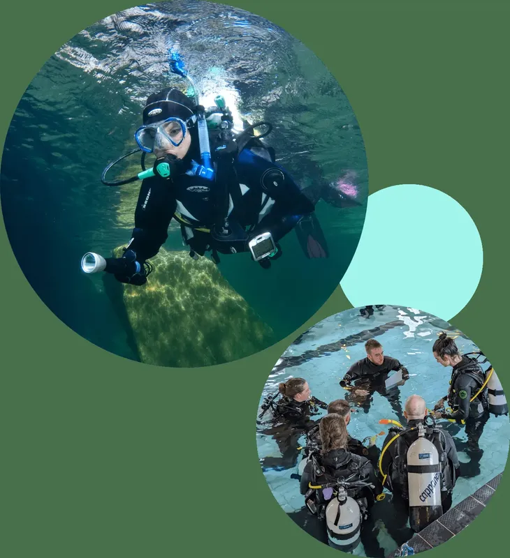 Plongeurs en formation, équipés, discutent dans une piscine ou en mer