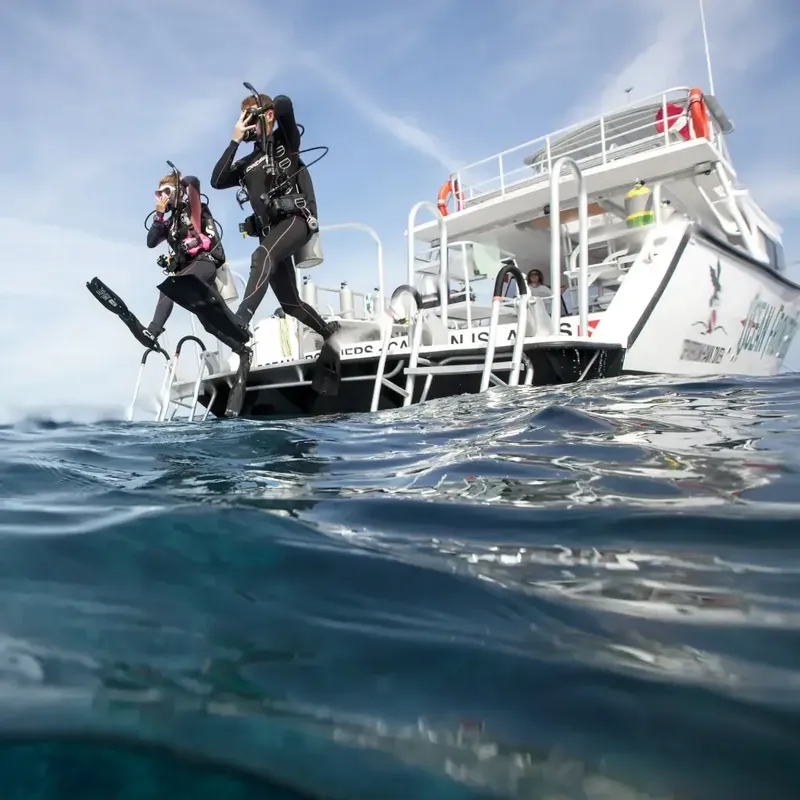 Plongeurs s'apprêtent à entrer dans l'eau depuis un bateau de plongée
