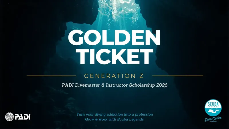 Image promotionnelle pour une bourse PADI Divemaster et Instructeur 2026