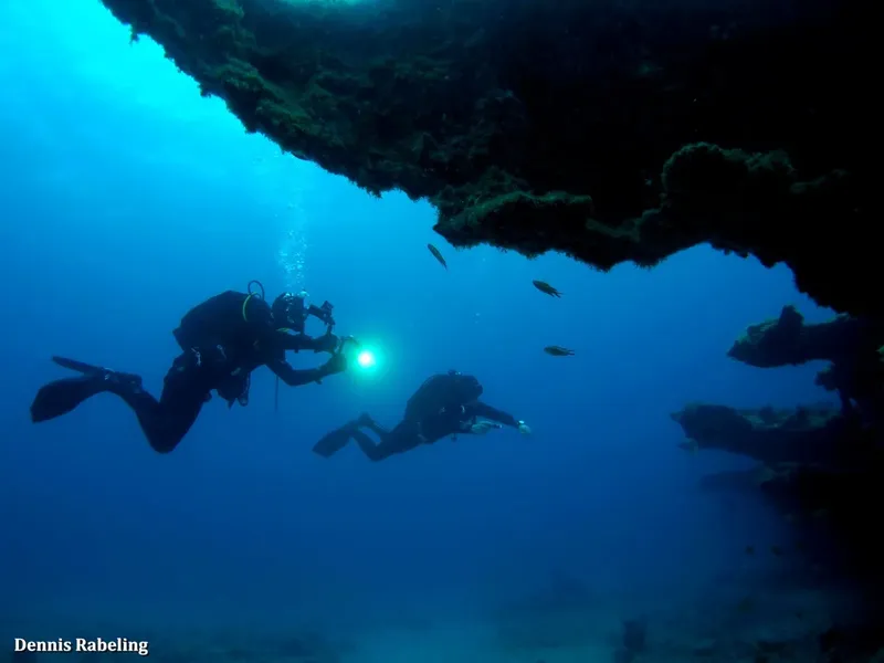 Deux plongeurs explorent un récif rocheux sous l'eau en bleu profond