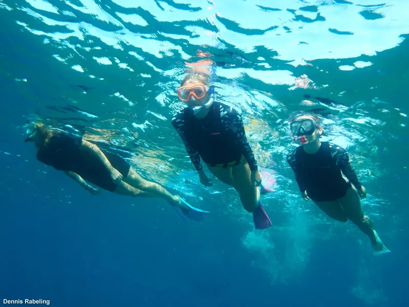 Trois personnes nagent en apnée dans une eau turquoise claire