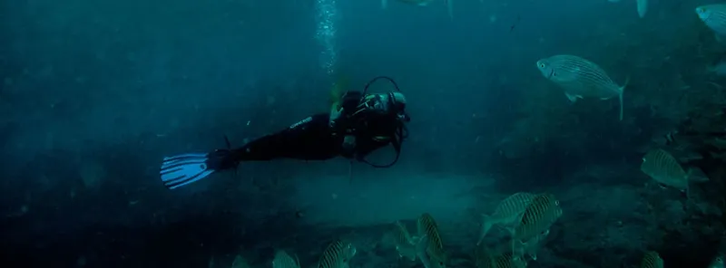 Plongeur en scaphandre explore un milieu marin avec des poissons