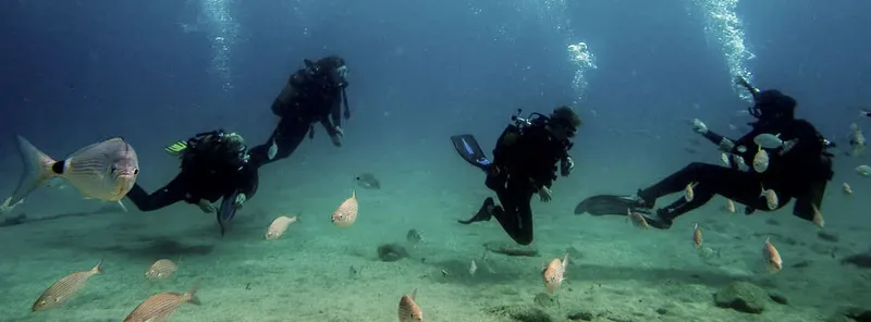 Plongeurs explorent un fond marin avec des poissons et de la lumière