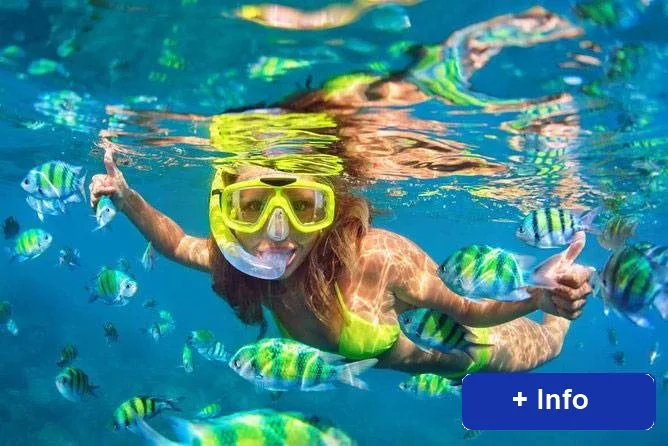 Plongeuse avec masque et tuba entourée de poissons colorés