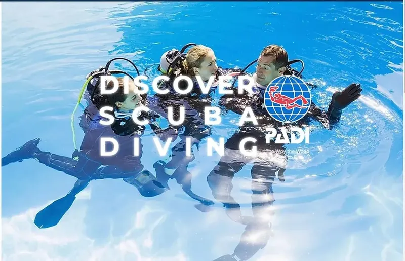 Deux plongeurs en formation avec le logo PADI dans l'eau