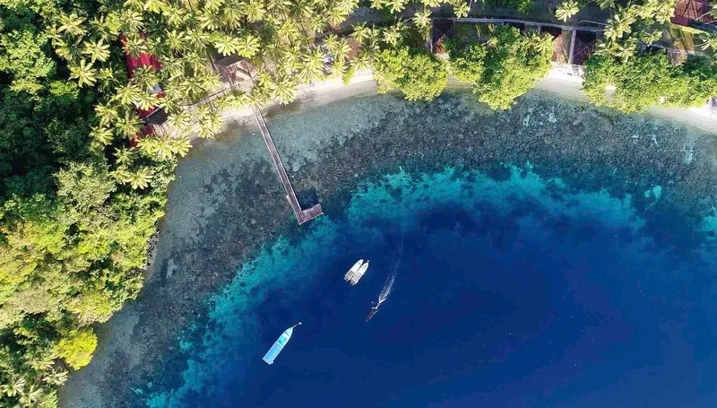Vue aérienne d'une plage tropicale avec des bateaux et un récif