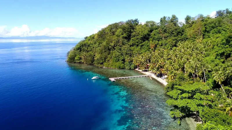 Vue aérienne d'une côte tropicale avec un ponton et un bateau