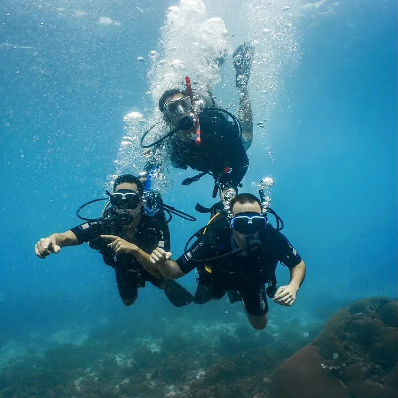 Trois plongeurs souriants et équipés donnent des signes positifs sous l'eau