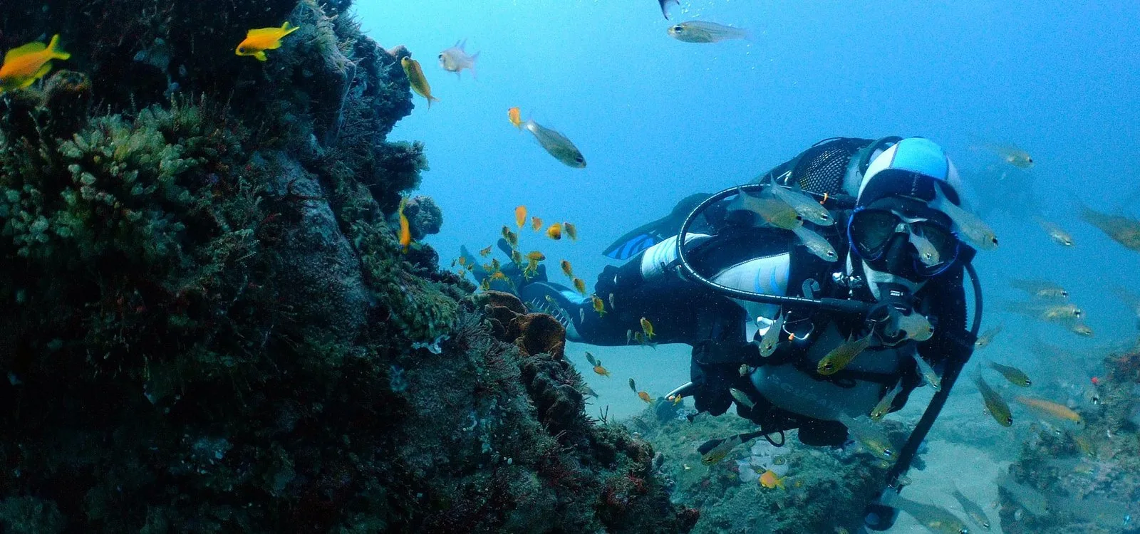 Calypso Dive Center