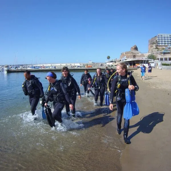 Plongeurs en combinaison sortent de l'eau sur une plage ensoleillée