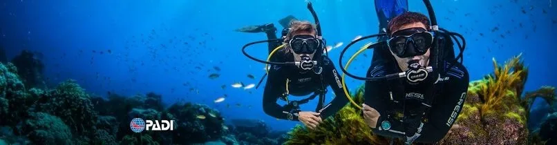 Deux plongeurs explorent un récifal corallien bleu et ensoleillé
