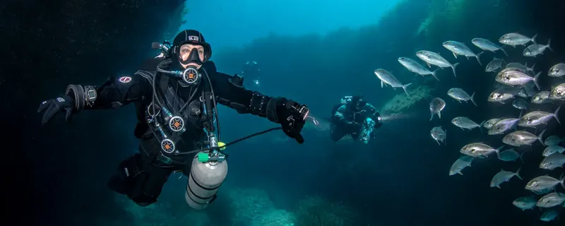 Deux plongeurs explorent un récif avec un banc de poissons
