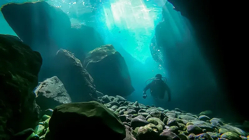 Plongeur explore un paysage rocheux sous-marin éclairé par le soleil