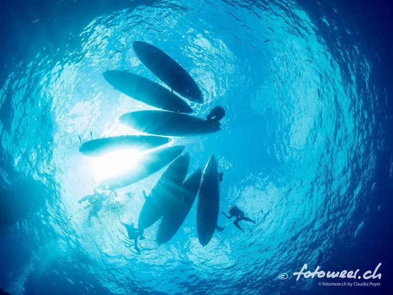 Raies manta et plongeurs évoluent ensemble dans une eau turquoise claire