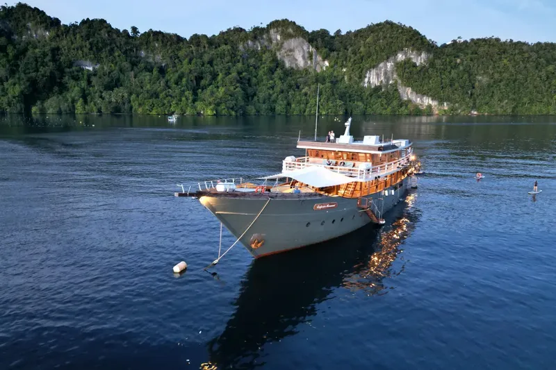 Grand bateau de croisière amarré dans une baie entourée de végétation