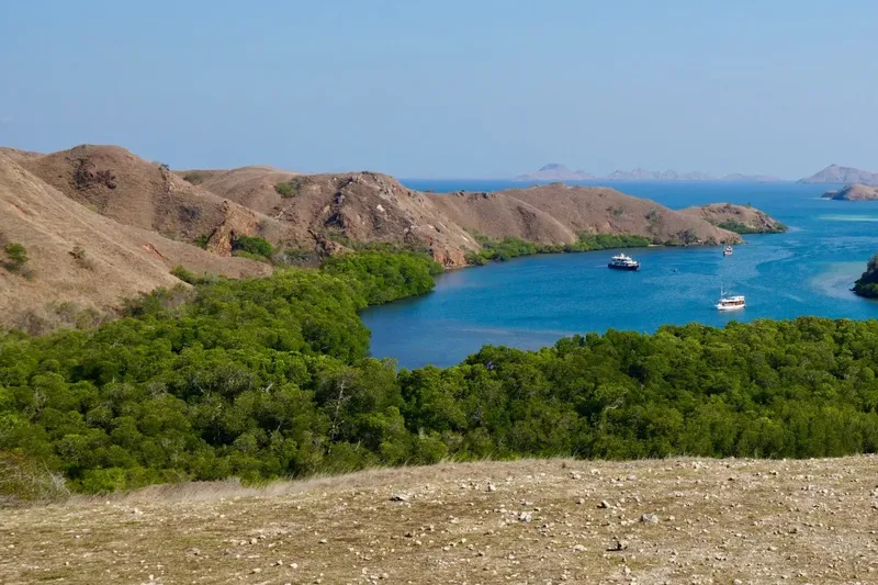 Paysage marin avec des bateaux dans une baie entourée de collines