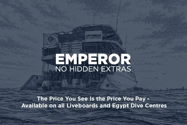 Illustration d'un bateau de plongée avec du texte promotionnel superposé