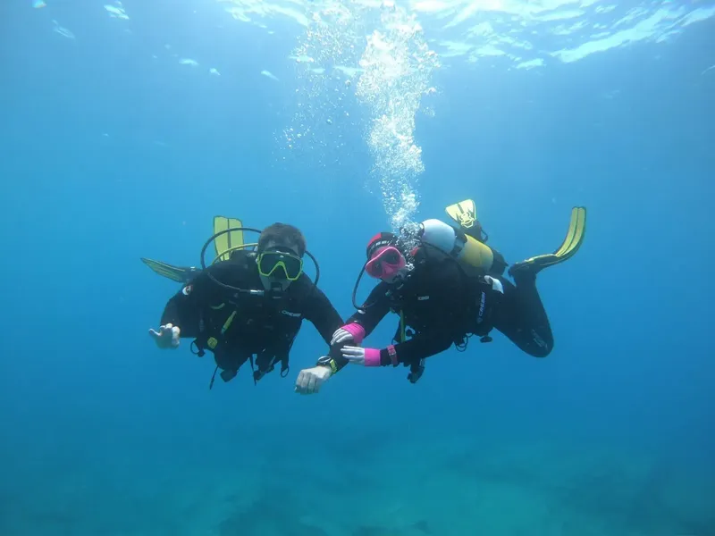 Deux plongeurs en combinaison s'observent dans l'eau bleue