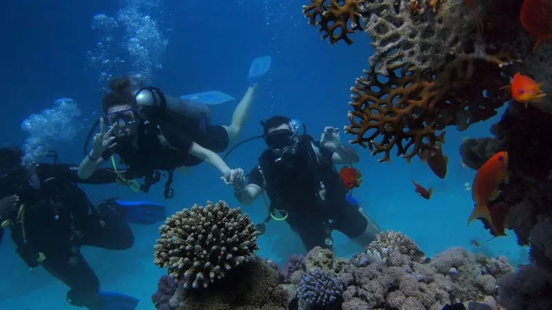 Plongeurs explorent un récif corallien avec des poissons colorés