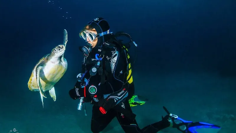 Plongeur face à face avec une tortue marine en milieu bleu