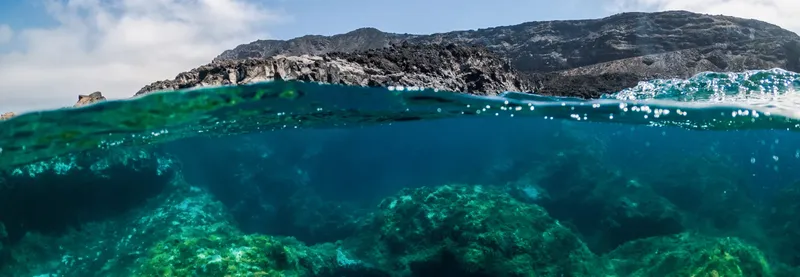 Paysage marin avec côte rocheuse et fond sous-marin verdoyant