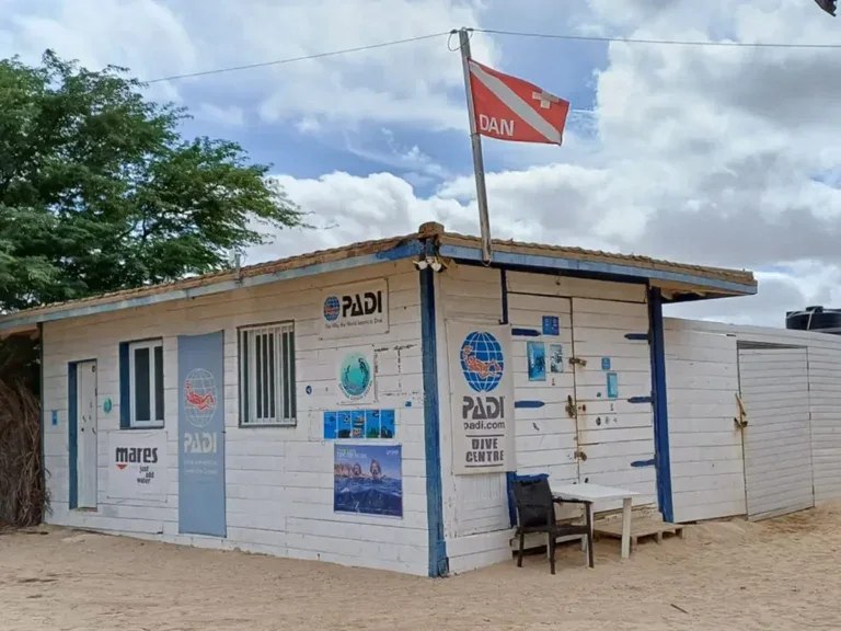 Façade d'un centre de plongée avec logos PADI et drapeau DAN