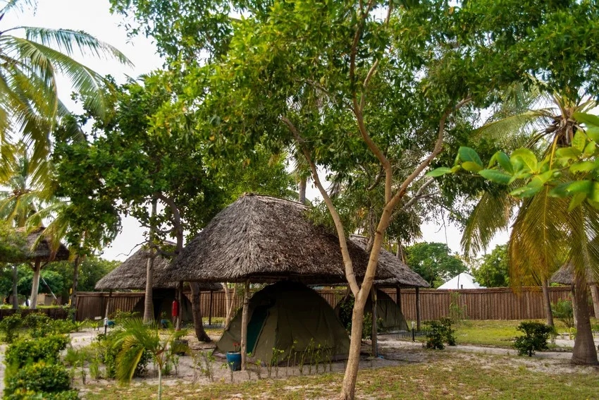 Structures en bois et en chaume au milieu d'une végétation tropicale