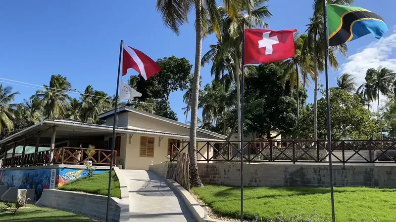 Bâtiment beige avec drapeaux flottant sous un ciel bleu clair
