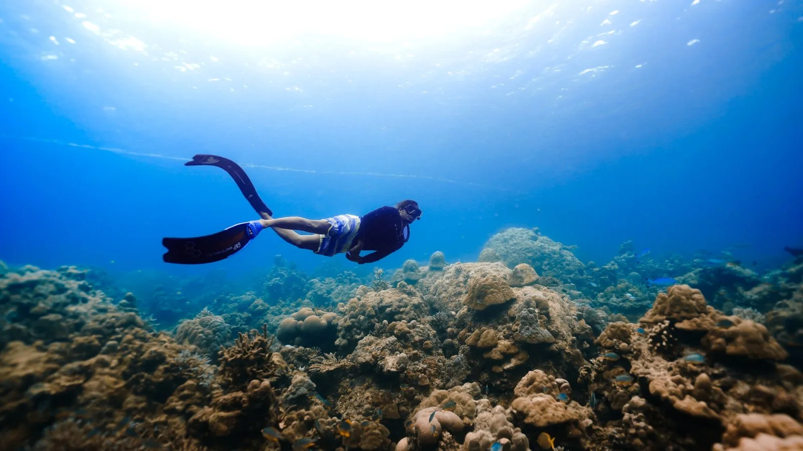 Temple Adventures Divers India