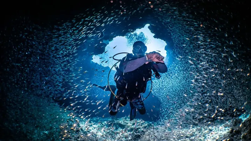 Plongeur évoluant au milieu d'un banc de poissons dans une grotte