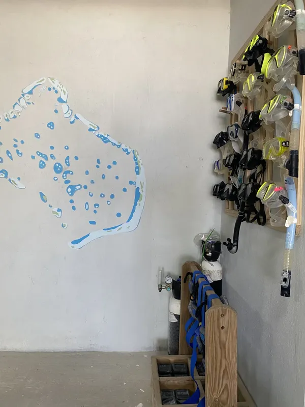 Mur peint avec une carte marine et rangée de masques de plongée