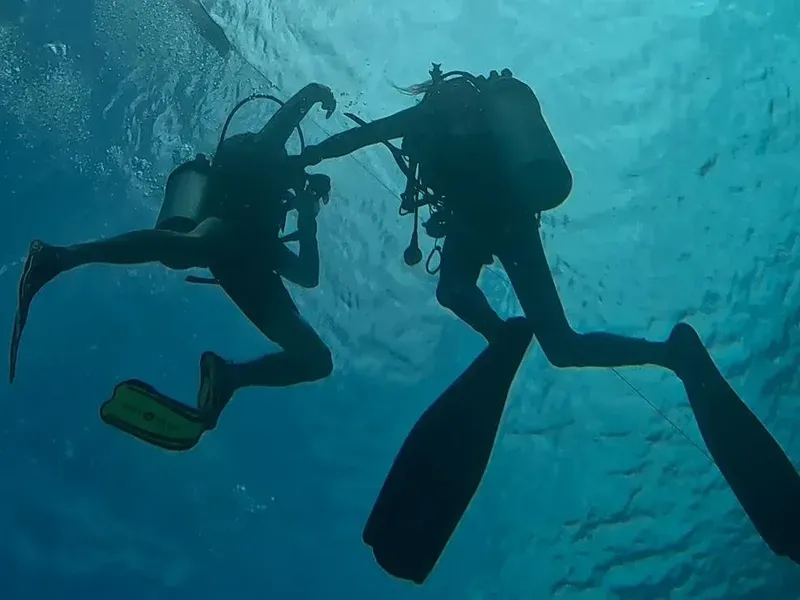 Deux plongeurs en immersion, se regardent dans l'eau bleue