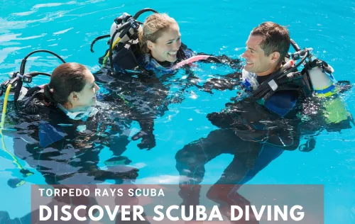 Trois plongeurs souriants s'équipent dans une piscine bleu turquoise