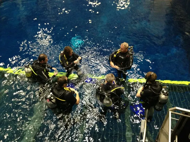Groupe de plongeurs en formation dans une piscine, équipement complet