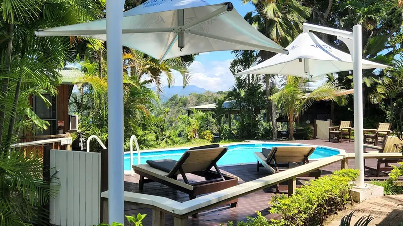 Piscine et terrasse en bois avec transats et végétation tropicale
