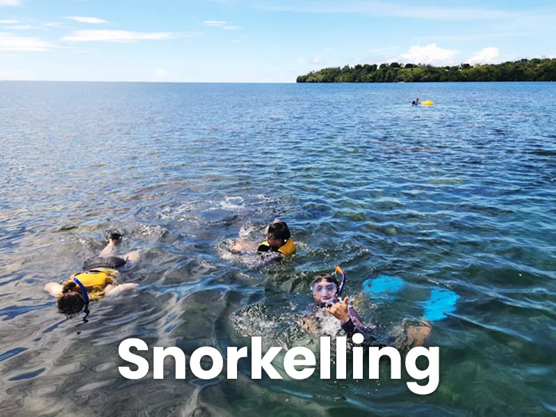 Personnes pratiquant le snorkeling en mer, portant gilets et masques