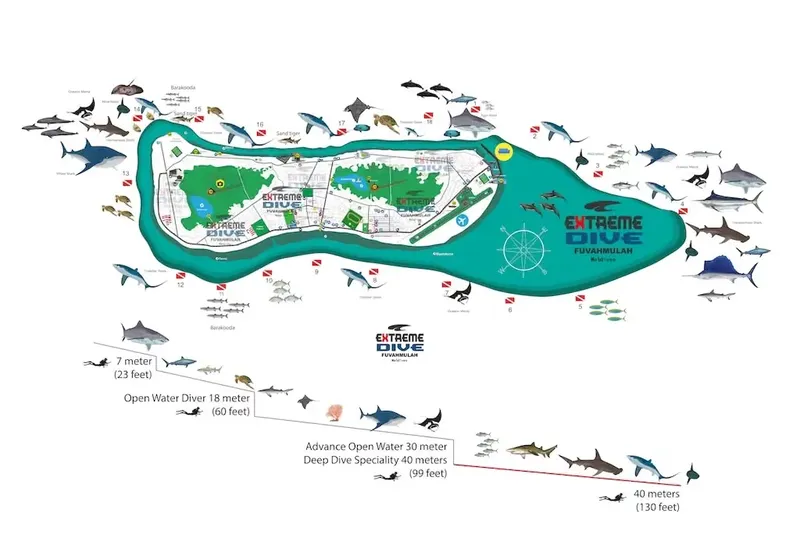 Carte marine illustrant des sites de plongée avec des requins et raies