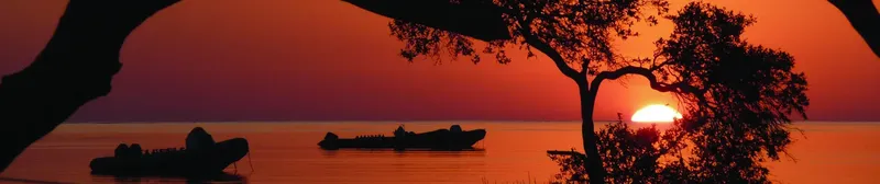 Coucher de soleil sur la mer avec silhouettes de bateaux et arbres
