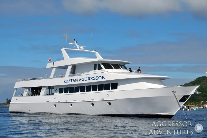 Grand bateau de croisière blanc sur l'eau, avec des passagers