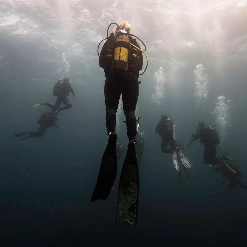 Plongeurs explorant les profondeurs marines avec équipement complet et lumière diffuse