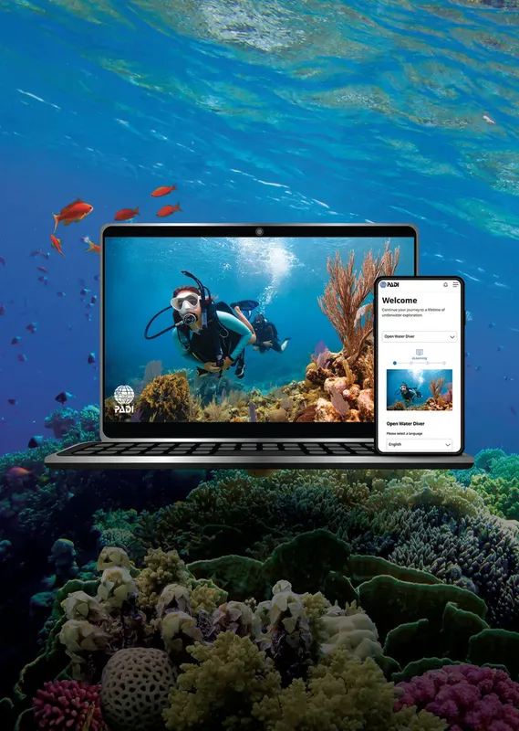 Plongeur et poissons tropicaux vus sur un écran d'ordinateur et tablette