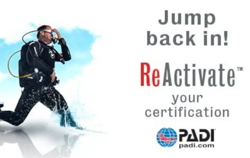 Plongeur en combinaison s'apprête à plonger, promotion PADI ReActivate