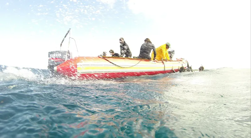 Plongée : un bateau semi-rigide transporte des personnes sur l'eau